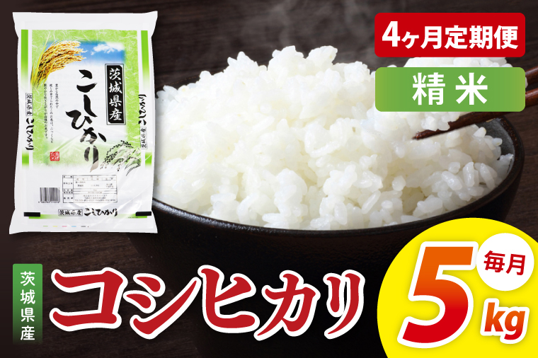 【4ヶ月定期便】茨城県産コシヒカリ　精米　5kg｜精米 定期便 お米 米 こめ コメ ごはん 白米 阿見町 茨城県 茨城県産 茨城県産米 安心 安全 送料無料 国産 人気 数量限定 高評価（85-80）