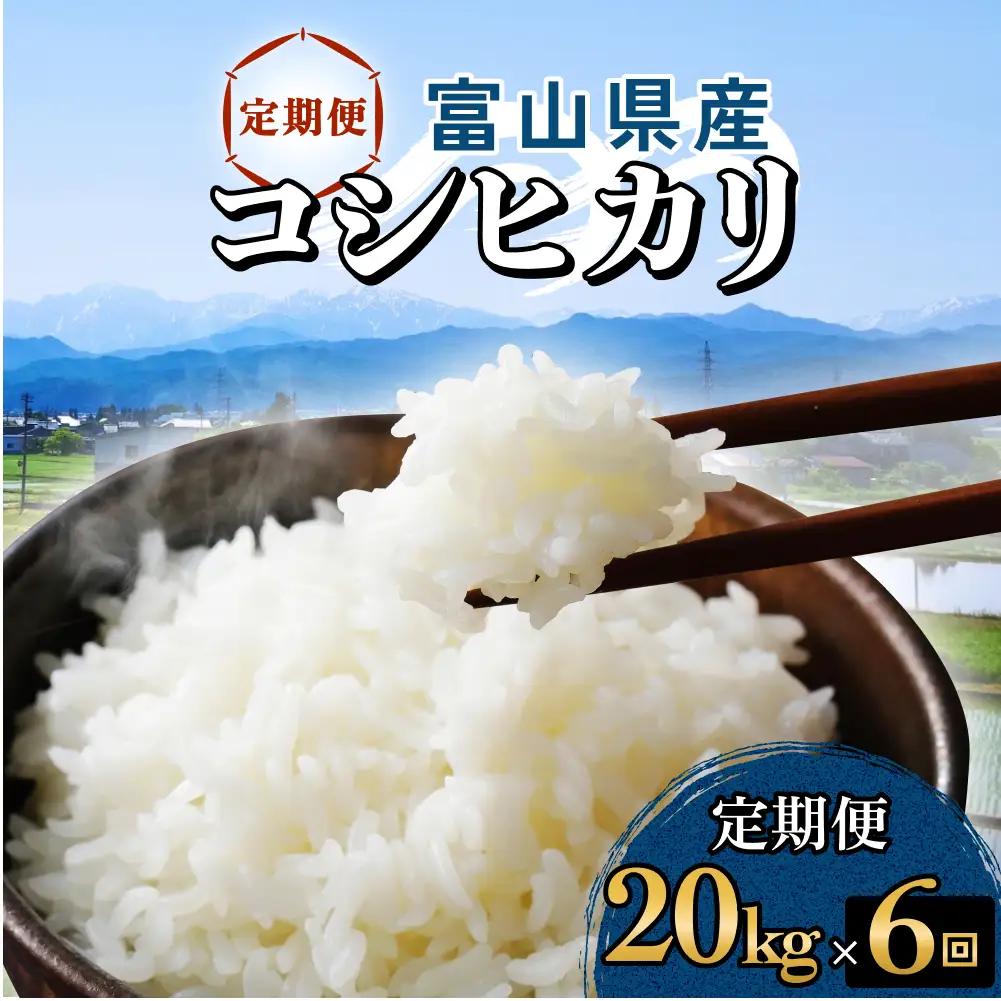 【6回定期便】富山県産 コシヒカリ 20kg 富山県 氷見市 米 コシヒカリ 定期便