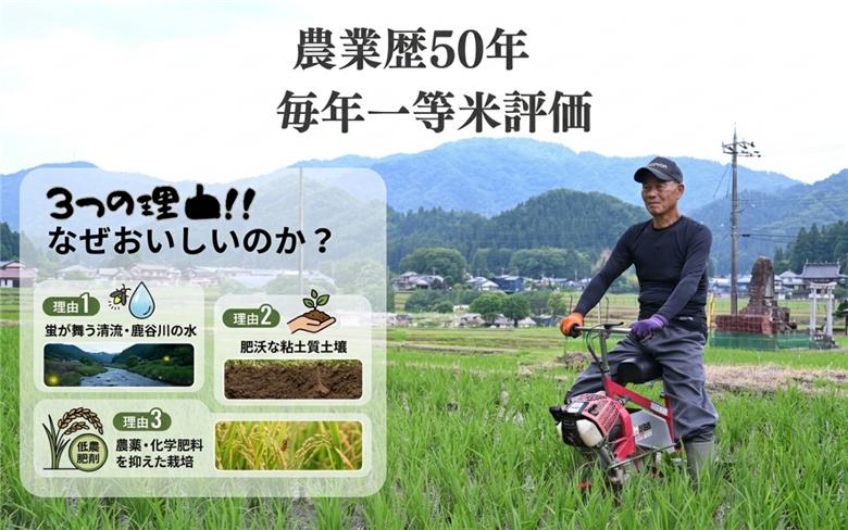 【ふるさと納税】【先行予約】令和8年産 コシヒカリ 精米 5kg ※2026年10月上旬より順次発送予定 [A-104002]