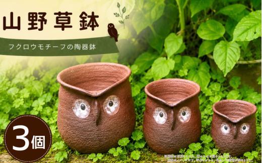 山野草鉢 陶器 手作り フクロウモチーフ 3個 セット 一点物 陶器鉢 美郷の土使用 陶芸品 植木鉢 多肉植物 山野草 観葉植物 寄せ植え インテリア ガーデニング 陶芸 徳島県 吉野川市