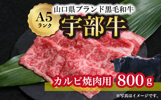 【宇部牛】 カルビ焼肉用 800g【山口県 宇部市 牛 牛肉 黒毛 和牛 ブランド 山口県唯一 地元発ブランド牛 希少 まちのお肉屋さん ストレスフリー オレイン酸60％以上 脂まで柔らかい おいしい