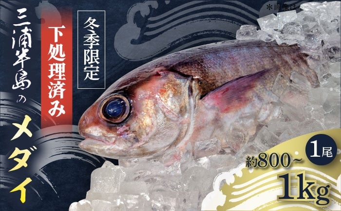 
            【冬季限定】下ごしらえ済 メダイ 約800g〜1Kg 鮮魚 処理済み 下処理済み 【長井水産株式会社】 [AKAJ031]
          