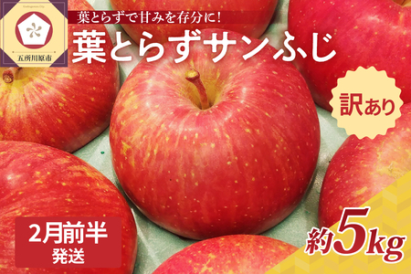 青森りんご　【2025年2月前半発送】【訳あり】葉とらずサンふじりんご約5kg青森県産 青森りんご 赤いりんごふじりんごサンふじりんご青森のりんご訳ありりんごワケアリりんご訳アリりんご