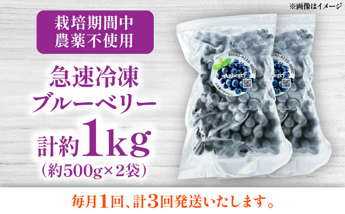 【全3回定期便】青い宝石 国産 急速冷凍ブルーベリー 計約1kg（約500g×2袋） 果物 くだもの フルーツ ぶるーべりー 熊本県 菊陽町【アグファーム株式会社】 [BHCX011]