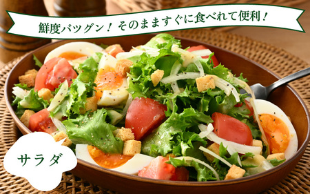 定期便 ≪6ヶ月連続お届け≫ 低カリウムレタス&フリルレタス　計6個セット 全6回 【福井県美浜町産】【野菜 生野菜 レタス サラダ サンドイッチ お弁当 水耕栽培 洗わず食べられる 時短 付け合わせ