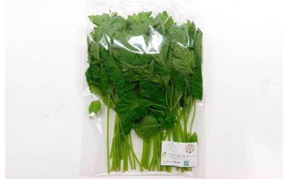 No.160 【毎月定期便6回】朝採りお日様リーフ5種セット