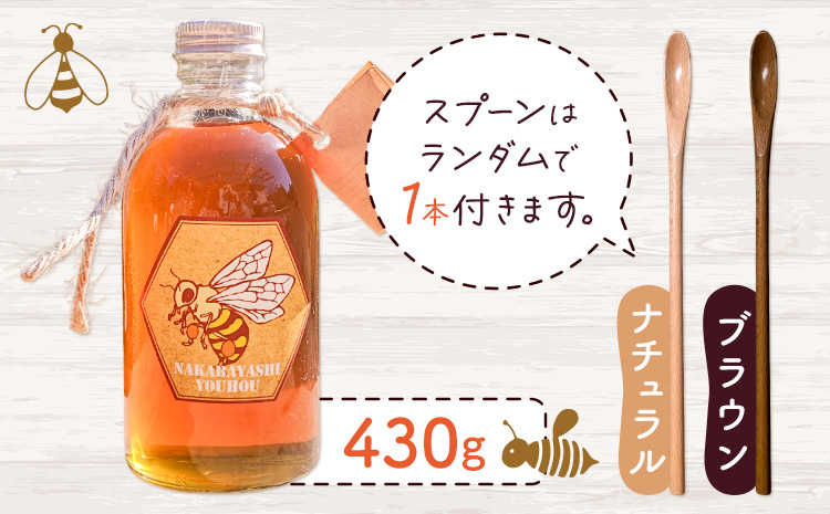 勝浦産 非加熱の 生ハチミツ(430g) ハチミツスプーン付き《30日以内に出荷予定(土日祝除く)》千葉県 勝浦市 はちみつ 蜂蜜 生ハチミツ 非加熱 百花蜜 2506