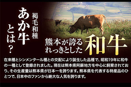 あか牛 焼肉用カルビ・ロース切り落とし 1.1kg(275g×4パック)《1月中旬-4月末頃より出荷予定》肉 牛肉 切り落とし 国産牛 切落とし ブランド牛 和牛 焼肉 焼き肉