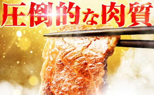 【12回定期便】飛騨牛 A5等級 焼肉用 カルビ・ロース 1kg 牛肉 肉 お肉 焼き肉 BBQ 岐阜市 / 肉の松久 [ANIP038]