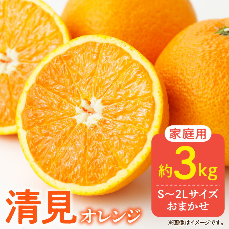 【ふるさと納税】【限定】 【2026年先行予約】ご家庭用 きよみ 清見オレンジ 和歌山 有田 S～2Lサイズ 大きさお任せ 約3kg