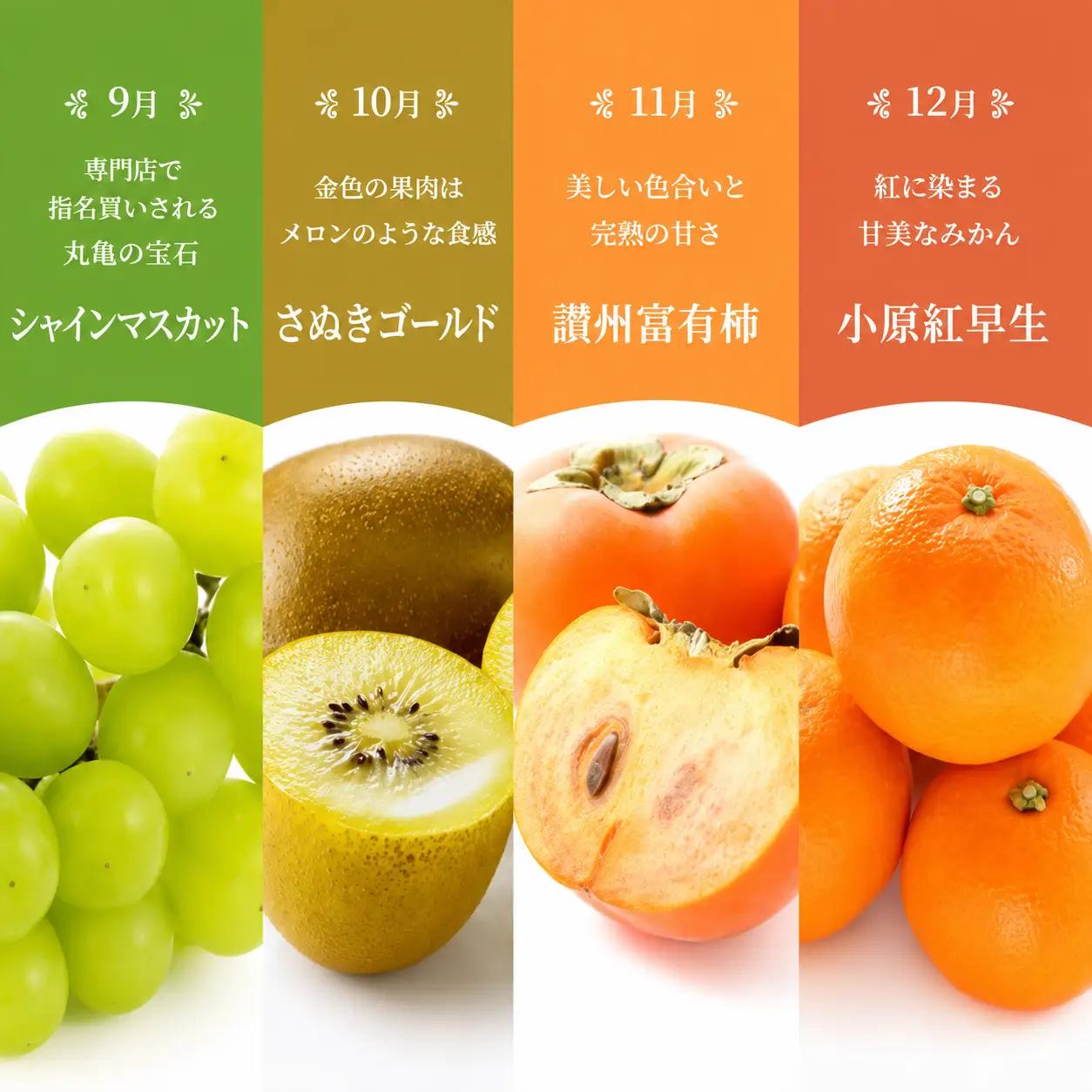 【百果繚乱】【定期便 12ヶ月】 果物定期便 果物定期便 フルーツ