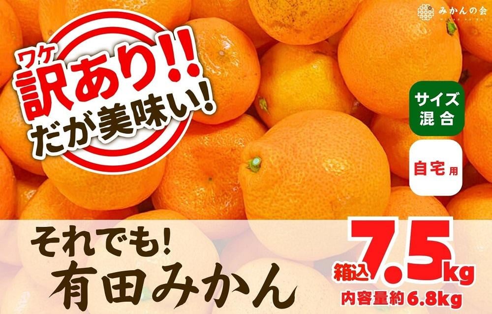 
            訳あり それでも 有田みかん 箱込 7.5kg (内容量約 6.8kg)  サイズミックス B品 有田みかん 和歌山県産 産地直送 家庭用［2025年11月中旬より2026年1月中旬頃順次出荷予定］［みかんの会］
          