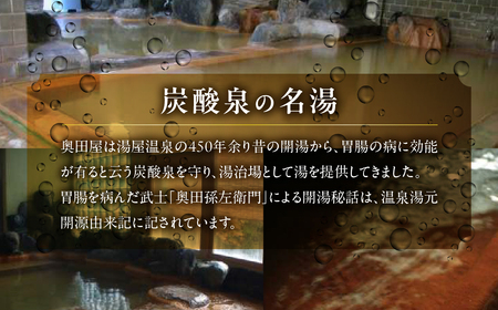 湯屋温泉 【奥田屋】宿泊補助券（3,000円分）【a028-1】
