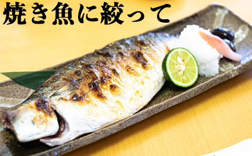 オレンジ農園のかぼす 約4kg（大分県杵築市産） ＜114-004_5＞