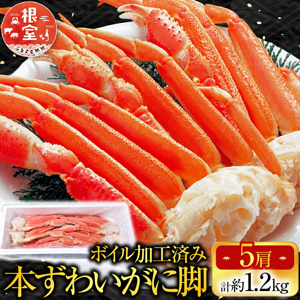 【ふるさと納税】 ボイル本ずわいがに脚 5 肩 ( 計約 1.2kg ) ズワイガニ ズワイ ずわい ズワイ蟹 ずわい蟹 かに カニ 蟹 お取り寄せ グルメ 海鮮 茹で蟹 茹でがに 茹でガニ 北海道 根室市 ふるさと納税 A-14261