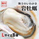 【ふるさと納税】【いわがき 殻付き Lサイズ 8個】 岩牡蠣 生食可 冷凍 牡蛎 牡蠣 かき カキ 岩牡蠣 いわがき 冷凍 お歳暮