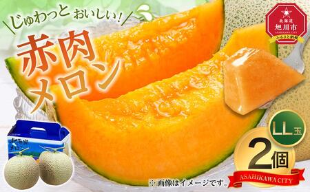 【先行予約】北海道 赤肉メロン LL玉×2個 (2026年7月発送開始) 