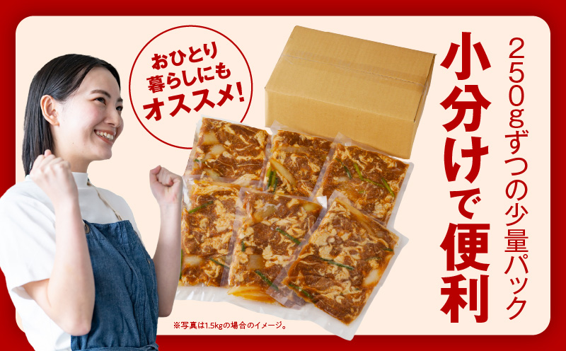 味付け ジンギスカン 1.5kg【6人前 小分け 250g×6P 羊肉 ラム 焼肉 バーベキュー 冷凍 簡単調理 北国からの贈り物】 015B400