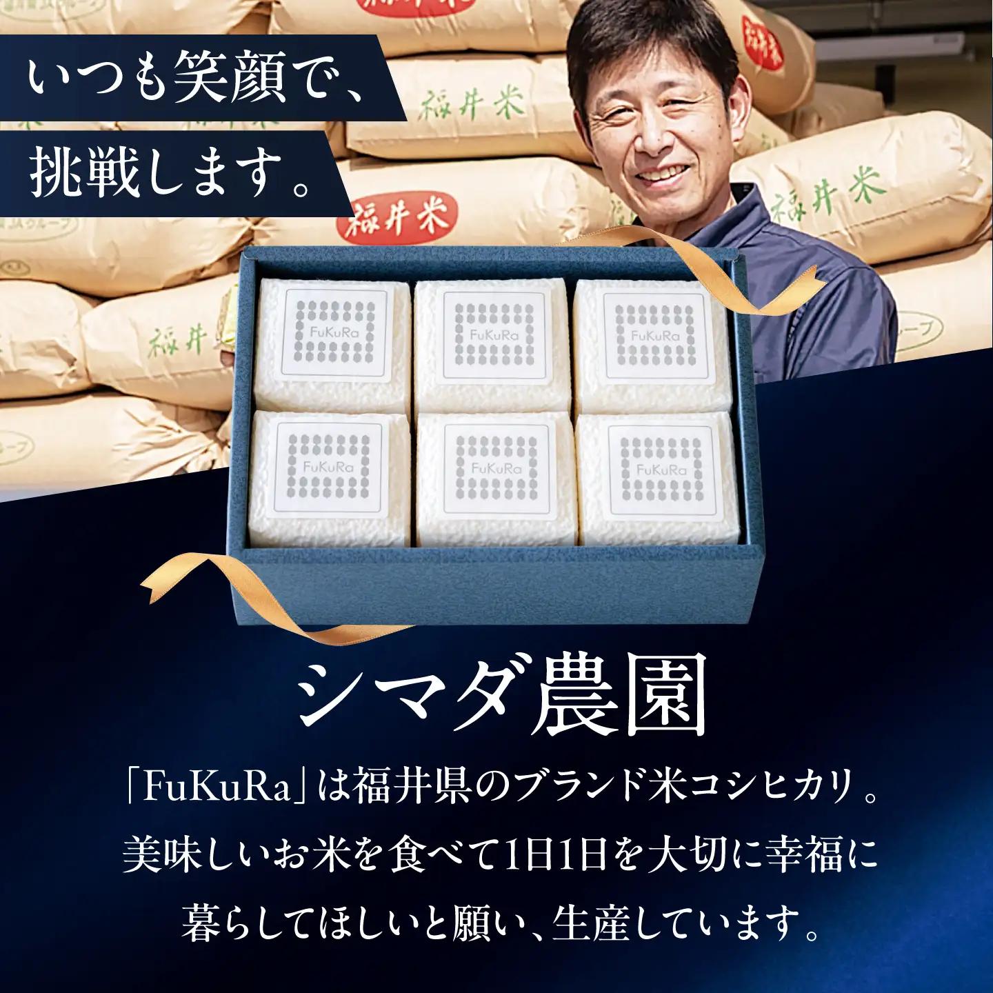 福井県産 こしひかり 『FukuRa』(ふっくら)真空キューブ ギフト 2合×6パック (300g×6パック)[BFAV023]