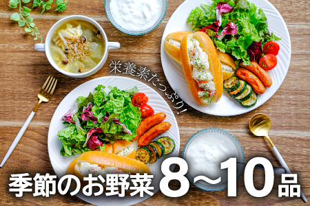 B-810 【3回定期便】季節のお野菜と平飼い卵のセット (8～10品)