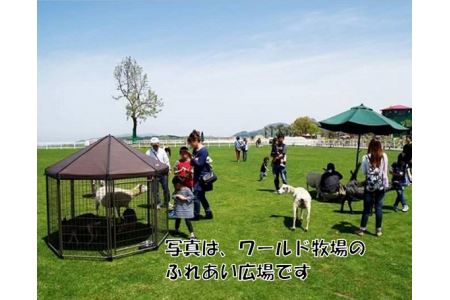 ワールド牧場入場無料券ペア1組 No.177