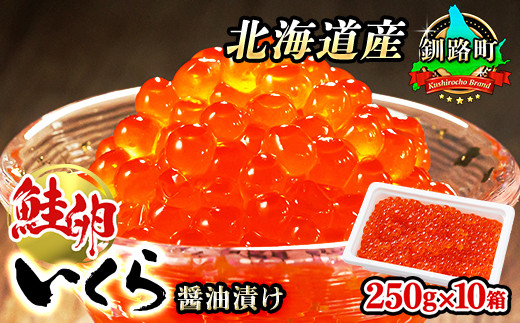 
            【配送日時指定可】いくら醤油漬け 250g ×10箱 合計2.5kg｜ 国産 いくら いくら醤油漬 しょう油 しょうゆ HACCP イクラ ikura 小分け 天然 鮭 鮭卵 鮭いくら 魚卵 魚介類 冷凍 笹谷商店 直営 釧之助本店 配送時期が選べる 配送 指定 配送日 選べる スピード発送 北海道 釧路町 釧路超 特産品
          