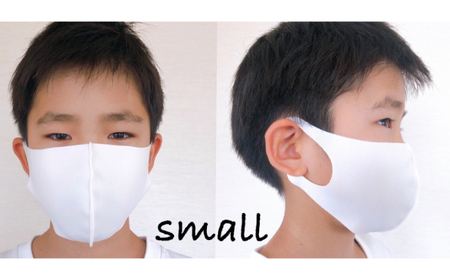 マスク エチケットマスク スモールサイズ 10枚 [ANEA007] マスク