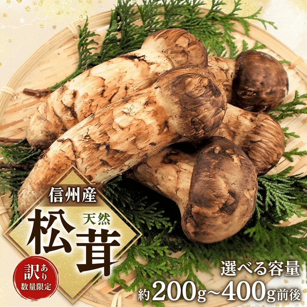【ふるさと納税】【訳あり】数量限定/信州産「天然松茸」選べる（約200g 約300g 約400g）　お届け：2026年9月下旬～10月下旬