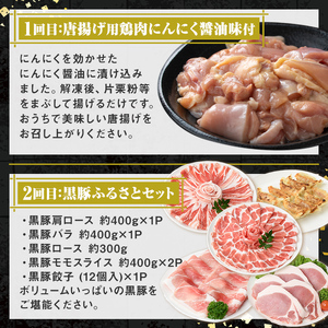 【E90002】＜定期便・全5回＞肝付町セレクト定期便《肉だらけ定期便B》 鹿児島 牛肉 黒毛和牛 豚肉 黒豚 鶏肉 唐揚げ 味付け 定期便 セレクト 加工品 肉加工品 簡単調理 冷凍 冷凍食品 【株