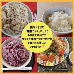 CIB95_佐賀県産もち麦１kg・精麦もち麦500g・黒米500g