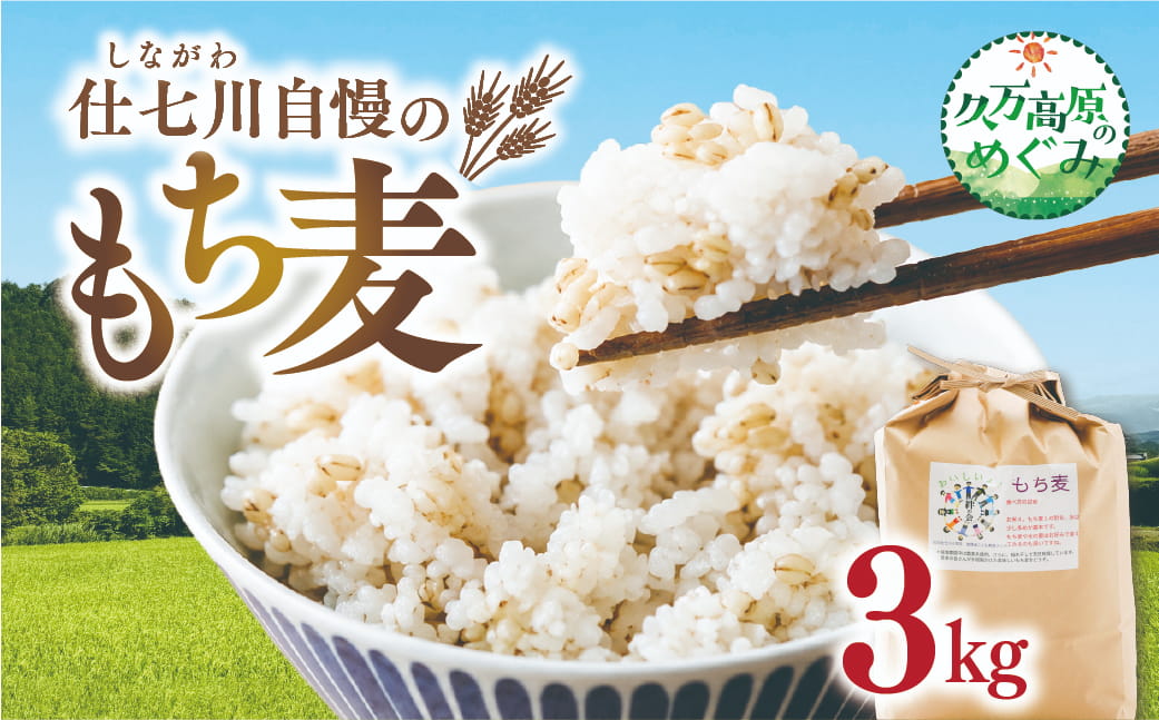 【先行予約】久万高原町 仕七川自慢 もち麦 3kg ｜ 雑穀 健康志向 腸活 食物繊維 ダイエット お取り寄せ 自然 愛媛県 仕七川地区の清流 ※2026年7月～発送