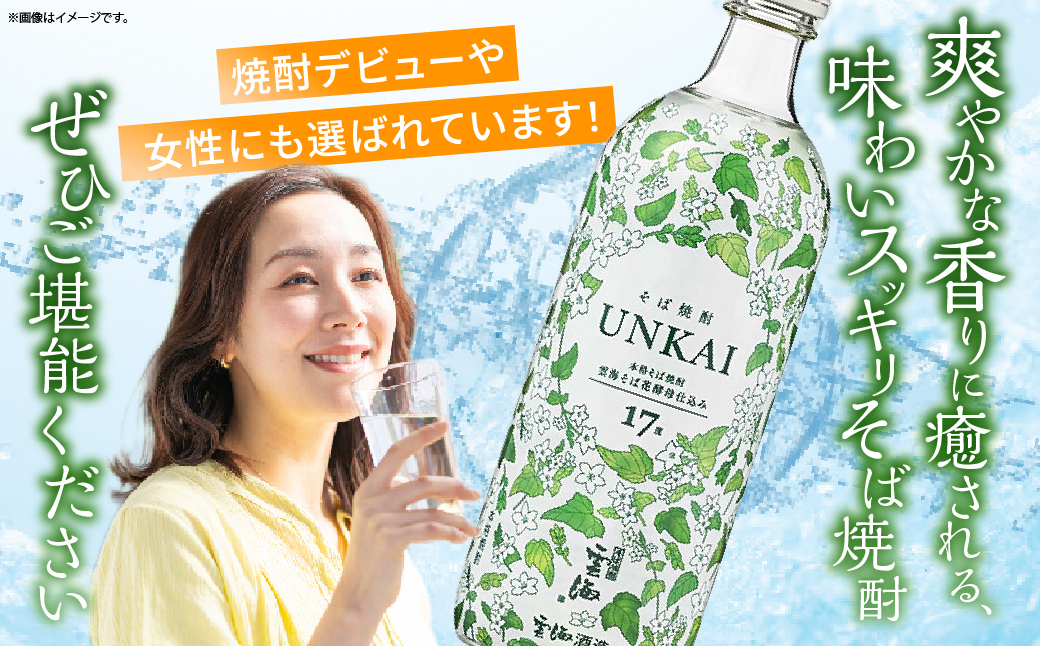 【雲海酒造】雲海そば花酵母仕込み-イチナナ- そば焼酎 17度12本セット_A0087-017