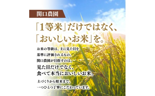 令和8年度 新米 コシヒカリ 精米 5kg 農家直送 | コシヒカリ こしひかり 米 お米 おこめ こめ 白米  ごはん ご飯 厳選米 茨城県産 こしひかり 産地直送 国産 冷めてもおいしい 美味しい