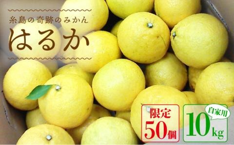 【先行予約】爽やか に甘い！ 糸島産 「 はるか 」 自家用 約 10kg 【2026年3月より順次発送】 二丈赤米産直センター[ABB004]