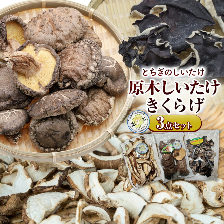 【ふるさと納税】原木しいたけ・きくらげ食べ比べ3点セット | 生きくらげ きくらげ 食物繊維 鉄分 カルシウム ビタミンD カリウム アミノ酸 低カロリー 高血圧予防 ふるさと納税 栃木県 那珂川町