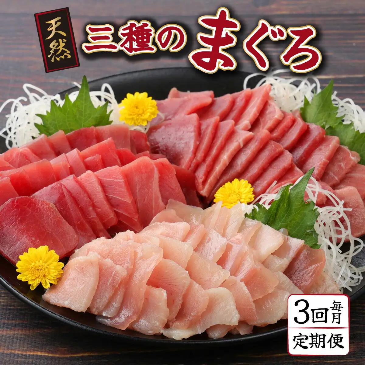 【定期便/計3回】天然マグロ3種（600g）【まぐろ】tk027