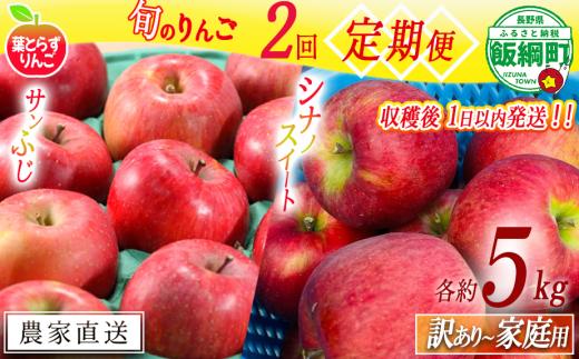 【 定期便 / フレッシュ便 】 旬のりんご 家庭用 〜 訳あり 5kg × 2回 葉とらずりんご フレッシュフルーツミカズキ 沖縄県への配送不可 2025年10月中旬頃から2025年12月中旬頃までお申込み順に発送予定 令和7年度収穫分 リンゴ アップル シナノスイート サンフジ サンふじ 長野県 飯綱町 [2011]