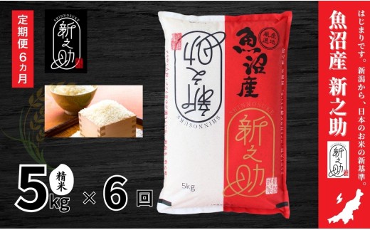 【令和８年度米 先行予約】【定期便 6ヶ月】 中魚沼産 新之助 5kg(5kg×1袋) × 6回 令和8年産 | しんのすけ 新之助 米 お米 新潟 魚沼 定期 コメ おこめ 白米 精米 ご飯 ごはん ブランド米 新潟県 津南町 有限会社イタバ