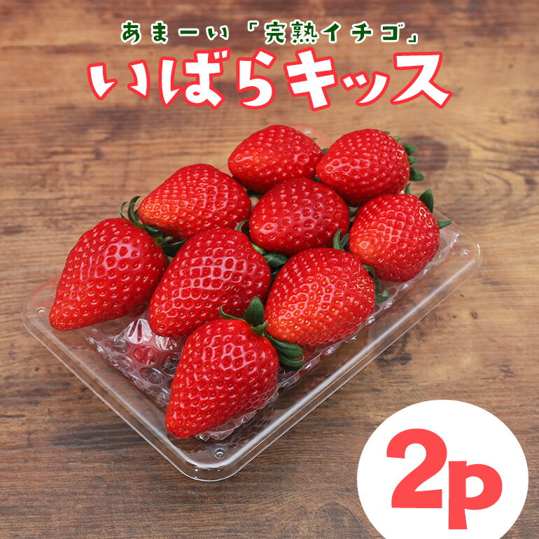 【ふるさと納税】【2026年先行予約】 完熟いちご 「 いばらキッス 」2p 計 540g 完熟 いちご 2パック 甘い 高糖度 春 苺 旬 フルーツ 果物 デザート ギフト 贈答用 国産 朝採れ 新鮮 産地直送 茨城県 石岡市 (A31-005)