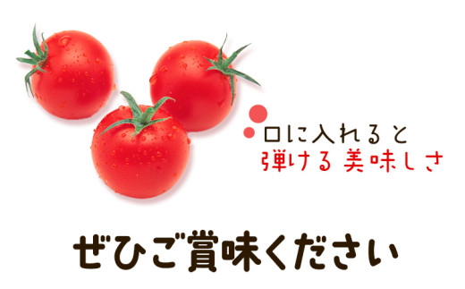 武田さんのミニトマト 3kg 200g × 15パック 《7月中旬‐8月末頃出荷予定》武田賢一 徳島県 美馬市 ミニトマト 送料無料 野菜 とまと トマト 青果物