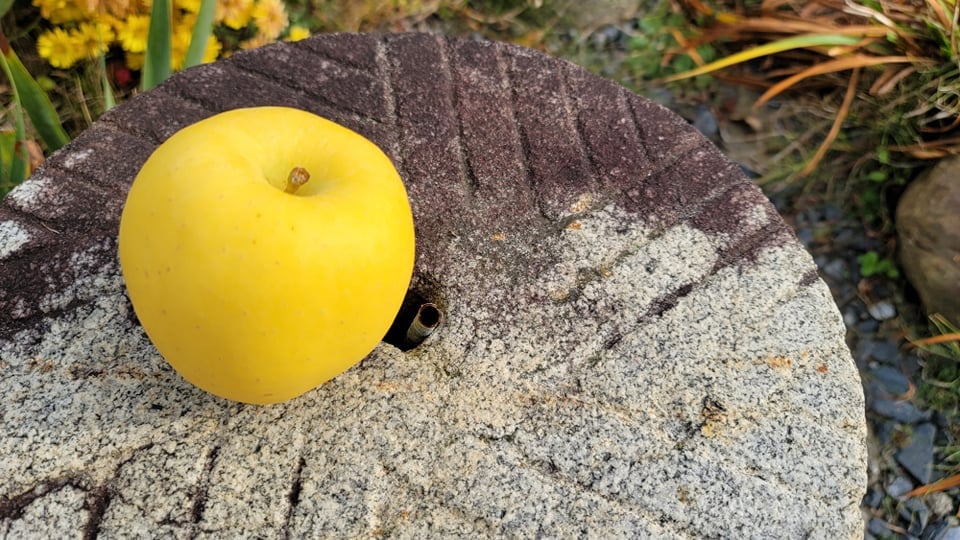 かじるとしっかりとした固めの歯触りが感じられ、それでいてジューシー