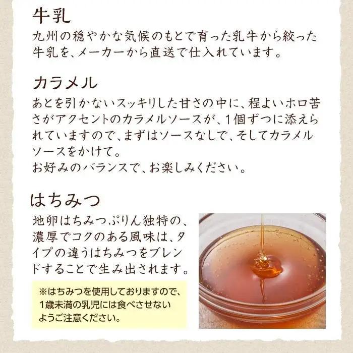 【お中元用】【お菓子の菊家】地卵はちみつぷりん 9個入