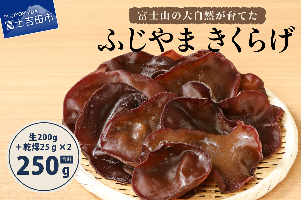 富士山の大自然が育てた「ふじやま きくらげ」(生きくらげ200g、乾燥きくらげ25g×2)