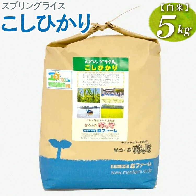 【ふるさと納税】スプリングライス こしひかり (白米)5kg｜米 コメ こめ ごはん ご飯 ゴハン 白飯 スプリング ライス コシヒカリ 水へのこだわり 地下水 5kg 贈答 白米 精米 ギフト 贈答 贈り物 プレゼント お祝 ご褒美 記念日 景品 _BI25