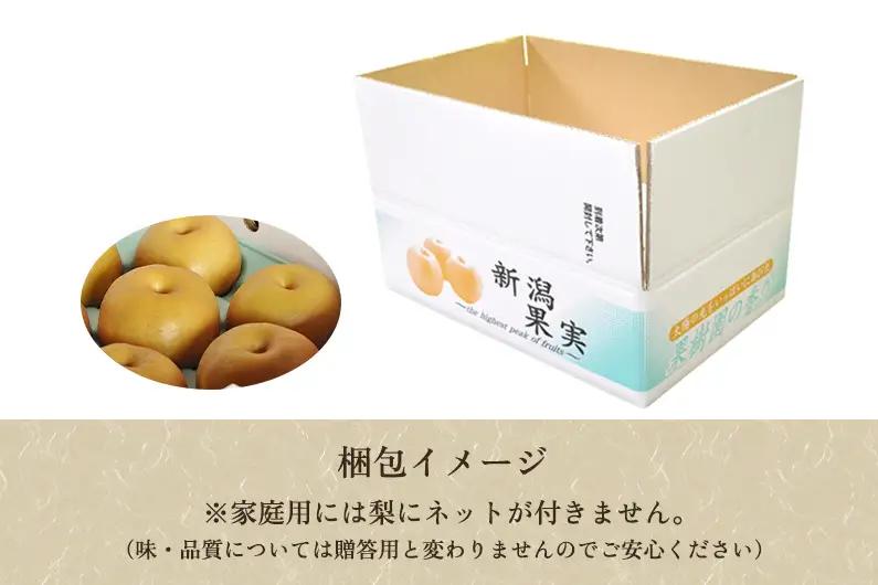 【2026年先行予約】【家庭用】新潟県産和梨 新興 約3kg（5?9玉）《12月上旬～順次出荷》 梨 新興 しんこう