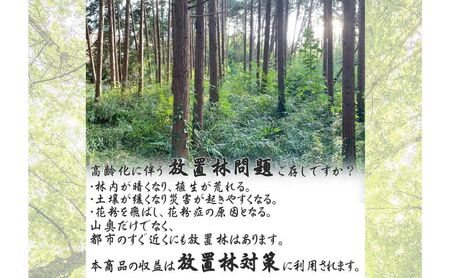 千葉県産切りっぱなし檜丸太3本BBQ・キャンプ・スウェーデントーチ・DIYの素材として便利！ ひのき 木 アウトドア バーべキュー 薪 焚火 火持ちが良い 薪割り スツール 