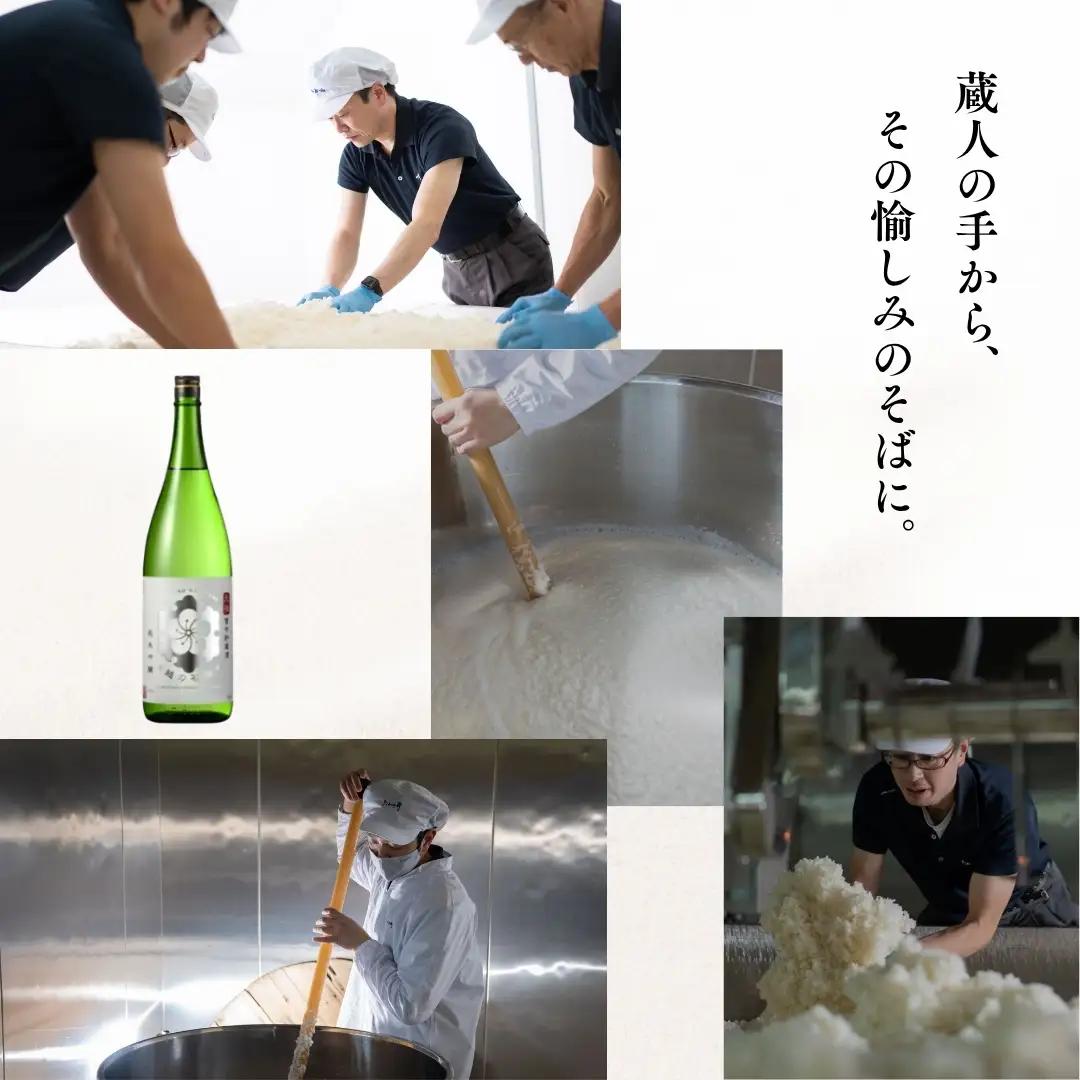 日本酒 越の初梅 雪中貯蔵酒 純米吟醸  720ml×1本 高の井酒造 