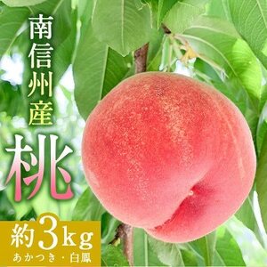 南信州産「桃」約3kg〈あかつき・白鳳〉　【2025年7月より順次発送】【配送不可地域：離島・北海道・沖縄県】【1005368】