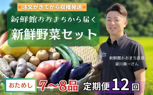 【定期便 全12回】産地直送 新鮮野菜セット《7～8品》 旬野菜 詰め合わせ 採れたて 定期便 季節 野菜 おまかせ 旬 春野菜 夏野菜 秋野菜 果物 新鮮 岩手県産 国産 詰め合わせ 定期便 定期 人気 岩手県 一関市