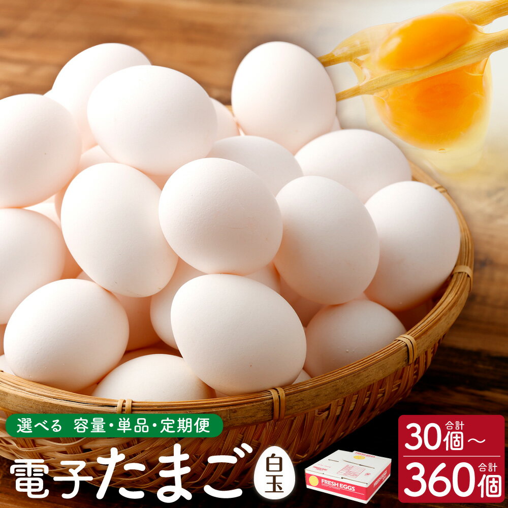 【ふるさと納税】【選べる 容量 単品 定期便】 電子 たまご 白玉 30個 30個～360個 定期便 12回 単品 割れ保証5個 卵 鶏卵 タマゴ 玉子 国産 鹿児島県 薩摩川内市 送料無料